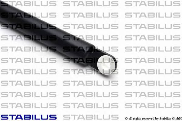 Stabilus 8913BK Gas Spring, boot-/cargo area 8913BK: Buy near me in Poland at 2407.PL - Good price!