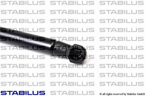 Stabilus 354710 Пружина газовая заднего стекла 354710: Отличная цена - Купить в Польше на 2407.PL!