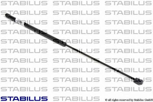 Kup Stabilus 5001ZR w niskiej cenie w Polsce!