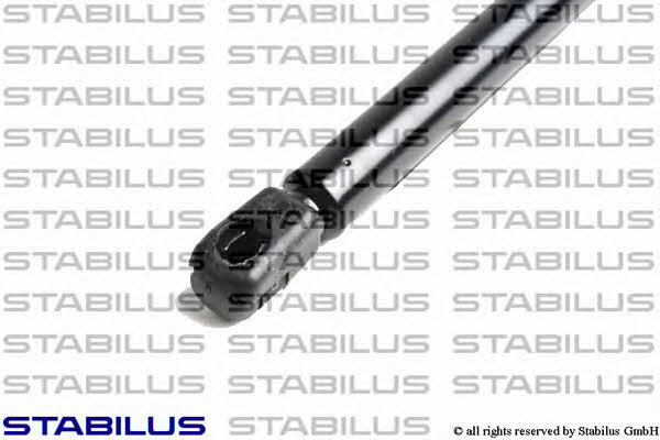 Stabilus 5001ZR Gas hood spring 5001ZR: Buy near me in Poland at 2407.PL - Good price!