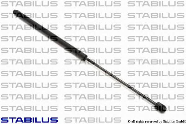 Stabilus 0031DT Gas Spring, boot-/cargo area 0031DT: Buy near me in Poland at 2407.PL - Good price!
