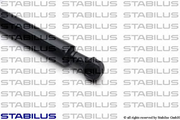 Stabilus 015513 Gas Spring, boot-/cargo area 015513: Buy near me in Poland at 2407.PL - Good price!