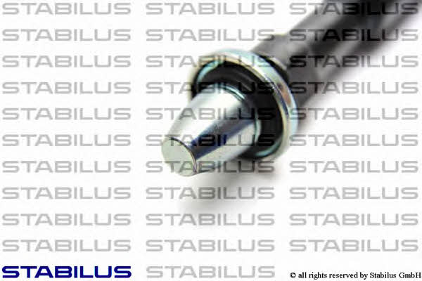 Stabilus 015621 Spring gas rear window 015621: Buy near me in Poland at 2407.PL - Good price!