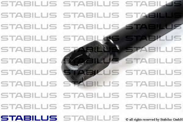 Stabilus 016955 Motorhaubegasdruckfeder 016955: Kaufen Sie zu einem guten Preis in Polen bei 2407.PL!