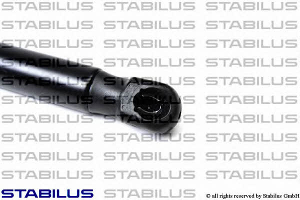 Stabilus 017487 Gas hood spring 017487: Buy near me in Poland at 2407.PL - Good price!
