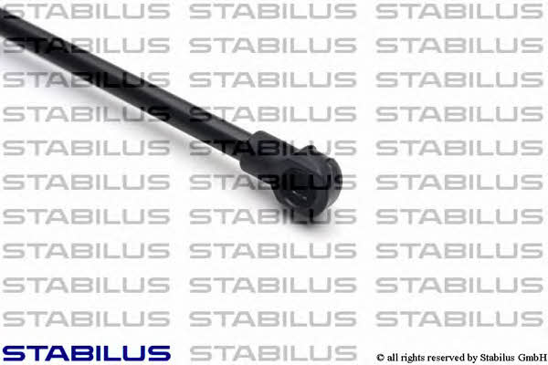 Kaufen Sie Stabilus 030598 zu einem günstigen Preis in Polen!