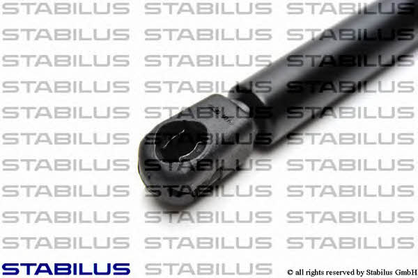 Stabilus 0421VG Gas Spring, boot-/cargo area 0421VG: Buy near me in Poland at 2407.PL - Good price!