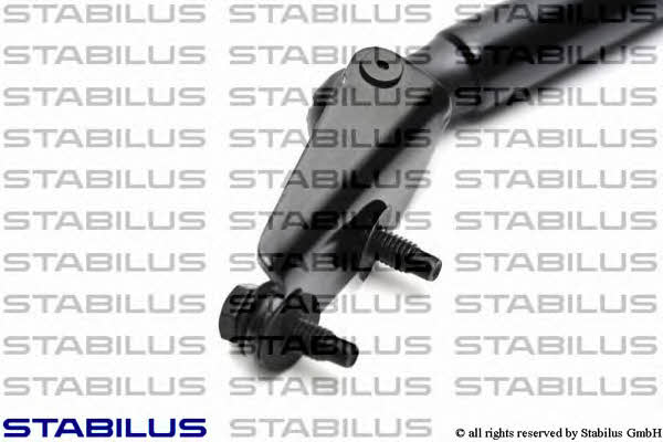 Stabilus 043738 Gas Spring, boot-/cargo area 043738: Buy near me in Poland at 2407.PL - Good price!