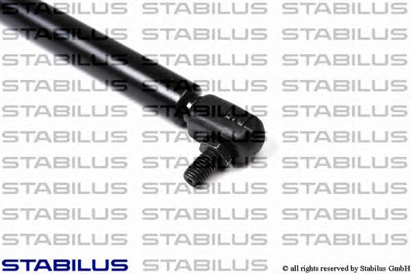 Stabilus 066435 Gas hood spring 066435: Buy near me in Poland at 2407.PL - Good price!