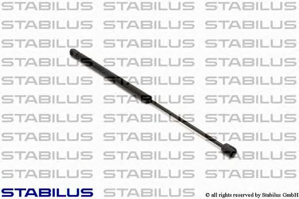 Stabilus 0714FN Gas Spring, boot-/cargo area 0714FN: Buy near me in Poland at 2407.PL - Good price!