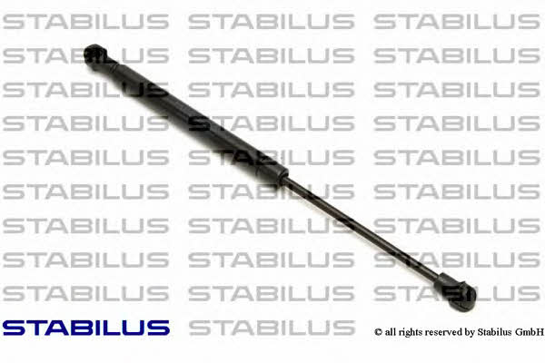 Kup Stabilus 1617MX w niskiej cenie w Polsce!