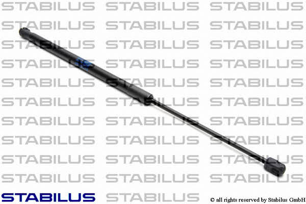 Kaufen Sie Stabilus 853489 zu einem günstigen Preis in Polen!