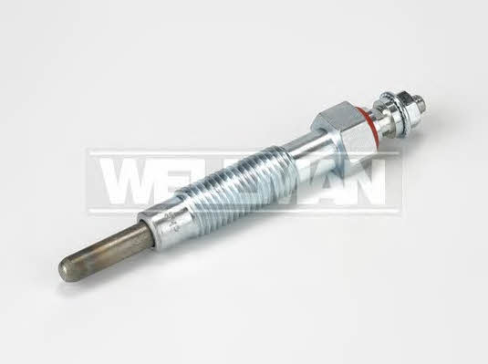 Standard W436 Glow plug W436: Buy near me at 2407.PL in Poland at an Affordable price!