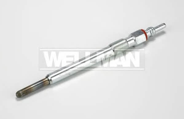 Standard W462 Свеча накаливания W462: Отличная цена - Купить в Польше на 2407.PL!