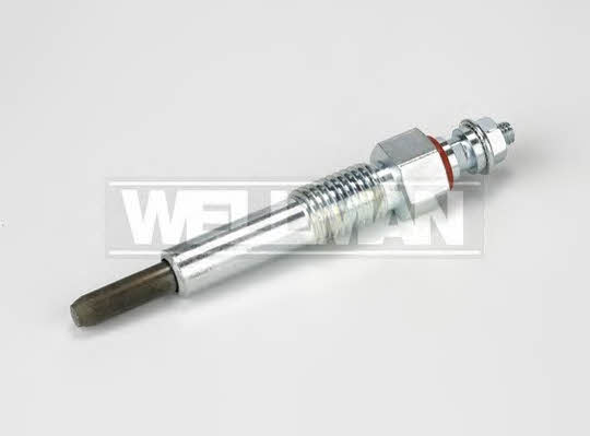 Standard W527 Glow plug W527: Buy near me at 2407.PL in Poland at an Affordable price!