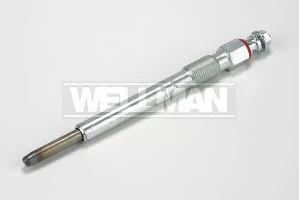 Standard W542 Glow plug W542: Buy near me at 2407.PL in Poland at an Affordable price!