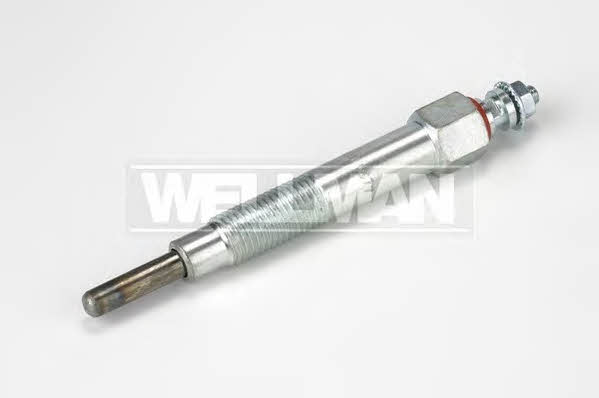 Standard W577 Glow plug W577: Buy near me in Poland at 2407.PL - Good price!