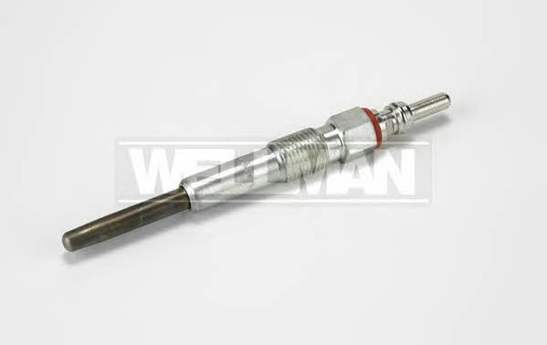 Standard W590 Glow plug W590: Buy near me in Poland at 2407.PL - Good price!