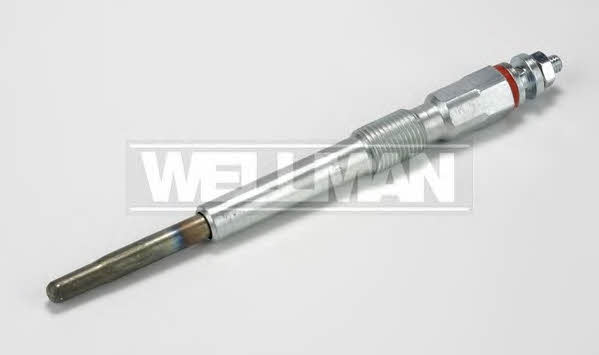 Standard W595 Glow plug W595: Buy near me in Poland at 2407.PL - Good price!
