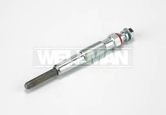 Standard W597 Glow plug W597: Buy near me in Poland at 2407.PL - Good price!