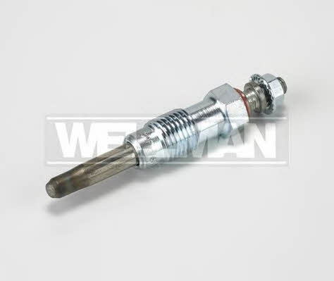 Standard W631 Свічка розжарювання W631: Купити у Польщі - Добра ціна на 2407.PL!