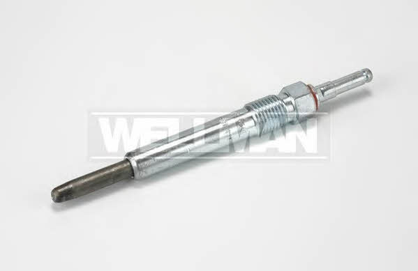 Standard W641 Glow plug W641: Buy near me in Poland at 2407.PL - Good price!