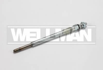 Standard W651 Glow plug W651: Buy near me at 2407.PL in Poland at an Affordable price!