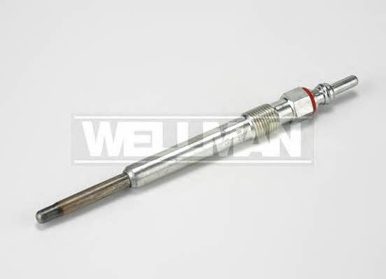 Standard W803 Glow plug W803: Buy near me in Poland at 2407.PL - Good price!