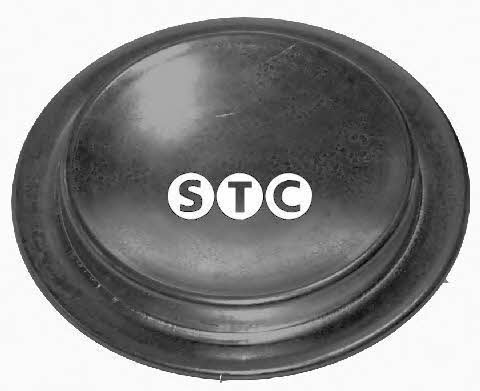 STC T404893 PLUG-BLIND T404893: Buy near me in Poland at 2407.PL - Good price!