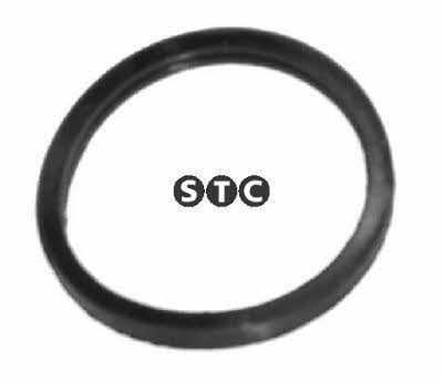 STC T402351 Termostat gasket T402351: Buy near me in Poland at 2407.PL - Good price!