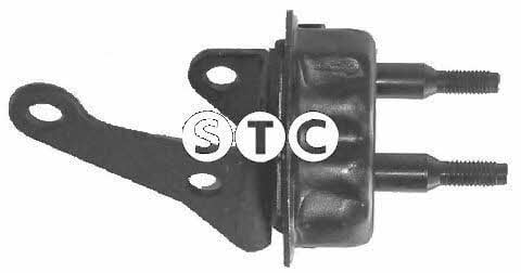 STC T402978 Silentblock rear beam T402978: Buy near me in Poland at 2407.PL - Good price!