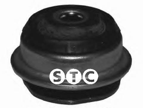 STC T405588 Silentblock rear beam T405588: Buy near me in Poland at 2407.PL - Good price!