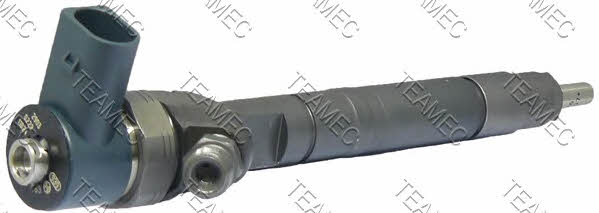Teamec 810 067 Injector fuel 810067: Buy near me in Poland at 2407.PL - Good price!