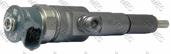 Teamec 810 163 Injector fuel 810163: Buy near me in Poland at 2407.PL - Good price!