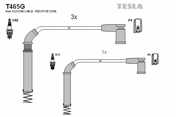 Tesla T465G Zündkabel kit T465G: Kaufen Sie zu einem guten Preis in Polen bei 2407.PL!