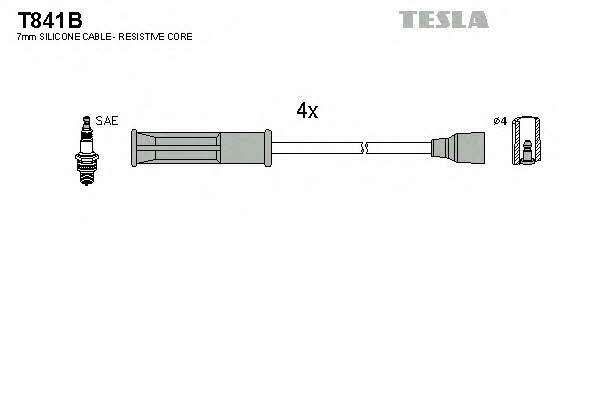 Buy Tesla T841B at a low price in Poland!