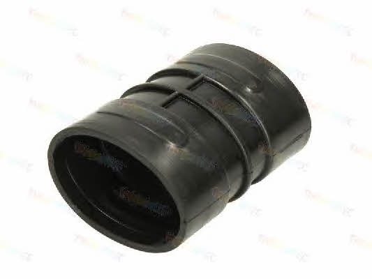 Thermotec DCR071TT Air filter nozzle, air intake DCR071TT: Buy near me in Poland at 2407.PL - Good price!