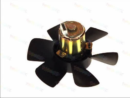 Thermotec D8W013TT Hub, engine cooling fan wheel D8W013TT: Buy near me in Poland at 2407.PL - Good price!