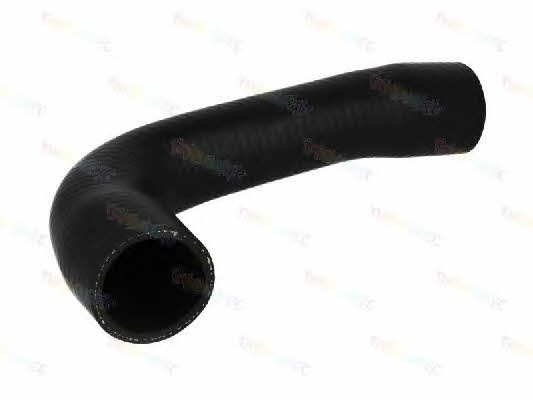 Thermotec DCX016TT Charger Air Hose DCX016TT: Buy near me in Poland at 2407.PL - Good price!