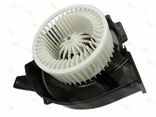 Thermotec DDS002TT Fan assy - heater motor DDS002TT: Buy near me in Poland at 2407.PL - Good price!