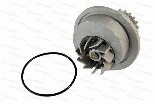 Thermotec D10007TT Water pump D10007TT: Buy near me in Poland at 2407.PL - Good price!
