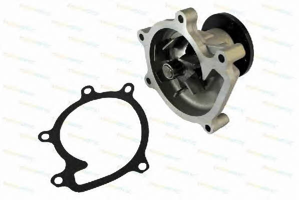 Thermotec D12074TT Water pump D12074TT: Buy near me in Poland at 2407.PL - Good price!