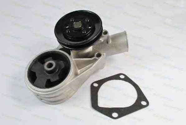 Thermotec D1S002TT Water pump D1S002TT: Buy near me in Poland at 2407.PL - Good price!