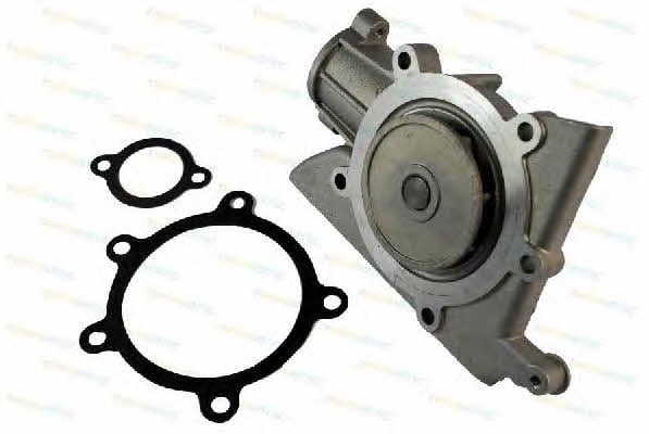 Thermotec D1T002TT Water pump D1T002TT: Buy near me in Poland at 2407.PL - Good price!
