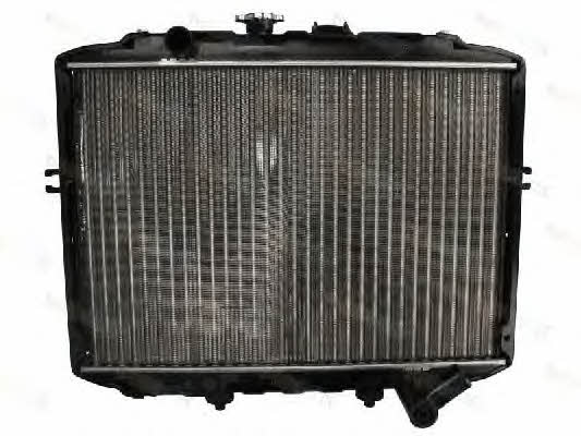 Thermotec D70512TT Радиатор охлаждения двигателя D70512TT: Купить в Польше - Отличная цена на 2407.PL!