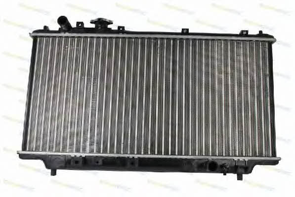 Thermotec D73002TT Radiator, engine cooling D73002TT: Buy near me in Poland at 2407.PL - Good price!