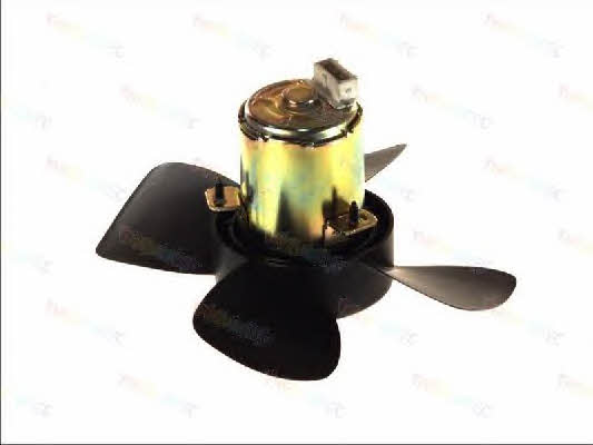 Thermotec D8A002TT Hub, engine cooling fan wheel D8A002TT: Buy near me in Poland at 2407.PL - Good price!