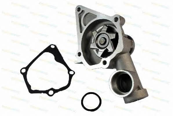 Thermotec D15004TT Water pump D15004TT: Buy near me in Poland at 2407.PL - Good price!