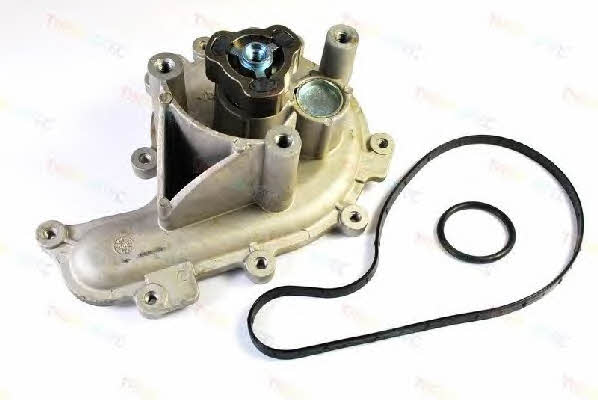 Thermotec D1P041TT Water pump D1P041TT: Buy near me in Poland at 2407.PL - Good price!