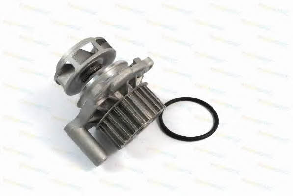 Thermotec D1W002TT Water pump D1W002TT: Buy near me in Poland at 2407.PL - Good price!